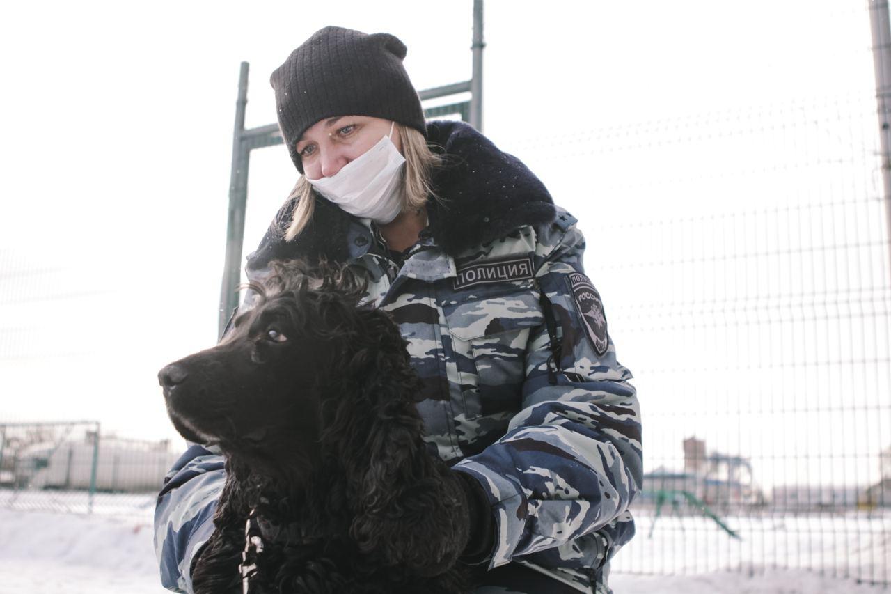 Фото «Можно валяться кверху пузом»: чем занимаются служебные собаки Новосибирска на пенсии 10